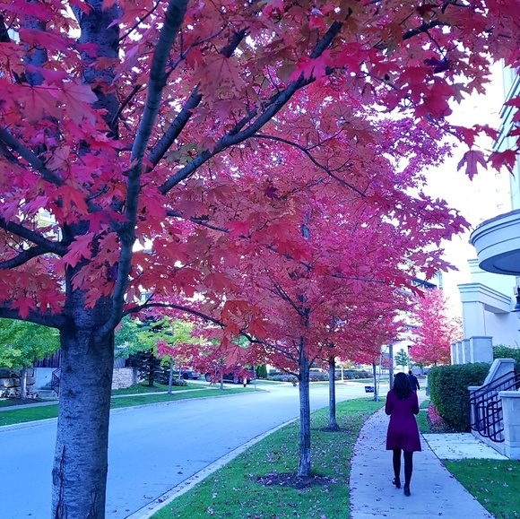 Meet your Posher, Akshata - Picture 1 of 1